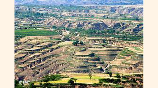 La reforestación de la meseta de Loess (China) redujo considerablemente la carga de sedimentos del río Amarillo, lo que constituye un ahorro anual de US$ 40 millones para el Plan Hidroeléctrico de las Tres Gargantas en relación con los costos de mejoramie