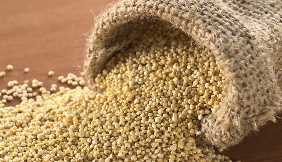 FOTO 12 | Quinua: Es un superfood. La FAO ha destacado su aporte su gran aporte nutricional. (Foto: Andina)