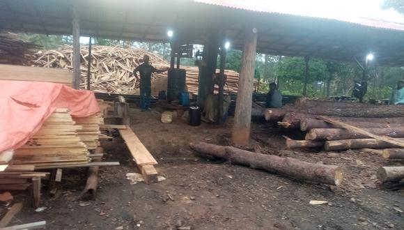 América Latina y el Caribe albergan la mitad de la biodiversidad del planeta y una cuarta parte de sus bosques tropicales, lo que las sitúa como uno de los focos principales de comercio de madera, tanto legal como ilegal. (Foto: Interpol)