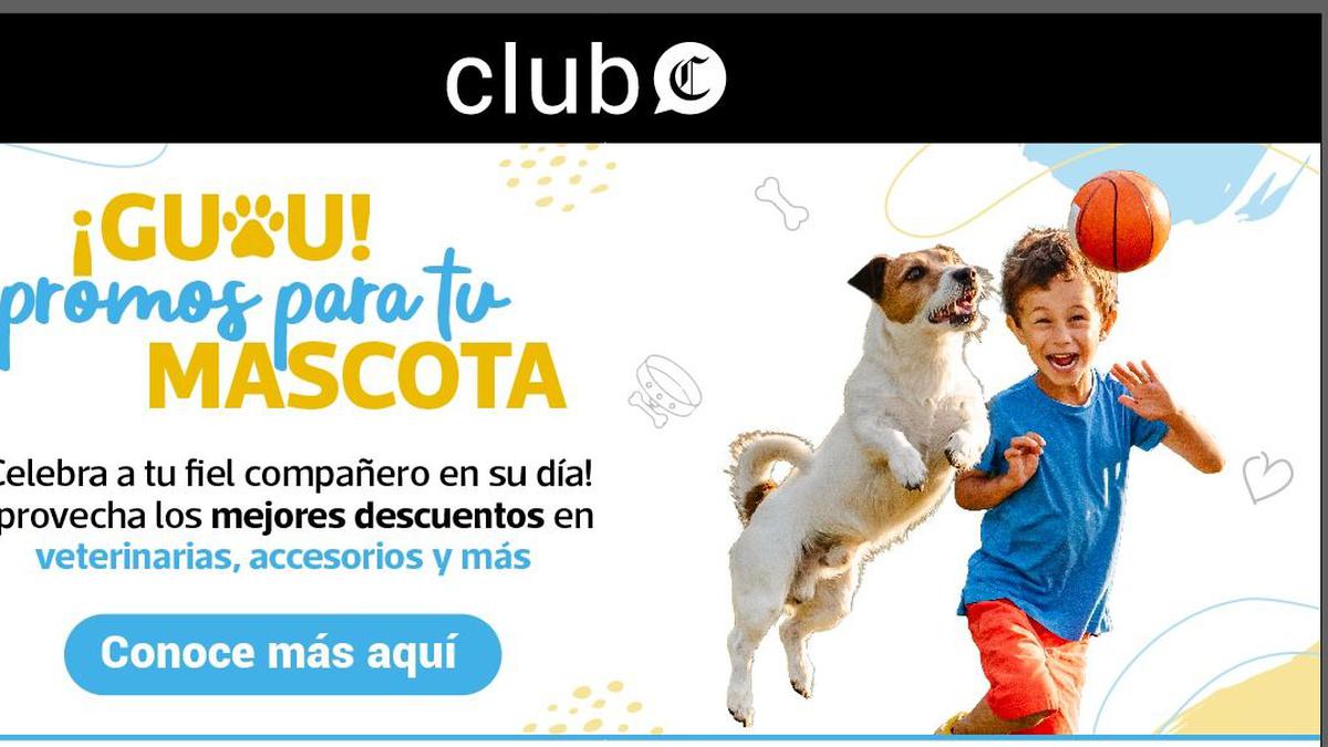 Club Digital: aprovecha descuentos de hasta 50% para tus mascotas como  suscriptor de Gestión | FOTOGALERIAS | GESTIÓN