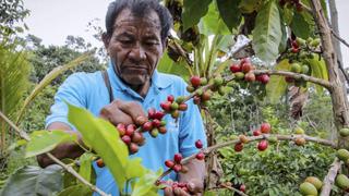 Sector agropecuario creció 5.2% en octubre y mantiene ritmo alcista 