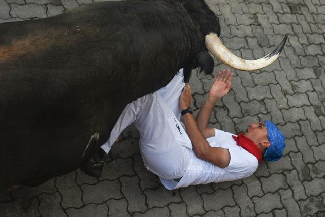 Tras cuernos, palos. Otros participantes intentaban hacer recular a los animales tirando de sus colas o agarrando sus cuernos. (Foto: AFP)