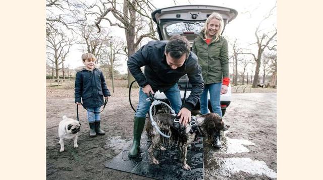 La ducha y el secador, esenciales para la limpieza del animal.(foto:msn).