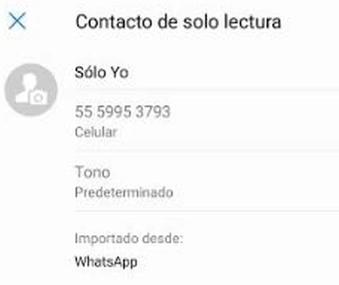 WhatsApp: ¿Cómo crear tu "bloc de notas" personal en la aplicación? (Foto: Captura)