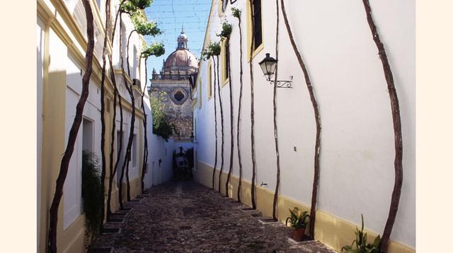 Calle de los Ciegos (Jerez). El aire andaluz que tiene esta calle no se puede aguantar. Esta vía estrecha, peatonal, blanca hasta decir basta y con árboles esqueléticos enraizados en las paredes es un gozo en Jerez. A sello de identidad dado por su sencil