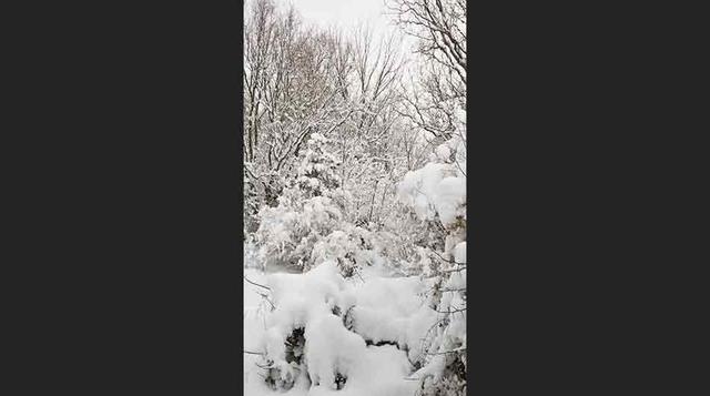 2. La gran nevada de 1940  Sucedió el 11 y 12 de noviembre de 1940 desde Kansas hasta Wisconsin, en menos de 24 horas las temperaturas moderadas se tornaron heladas y se acumularon 26 pulgadas de nieve, entre vientos de 50 a 80 mph. Hubo 144 muertes.
