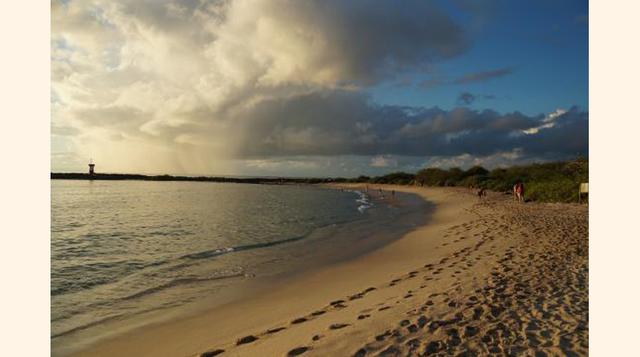 Santa Cruz, Islas Galápagos. ¿Con qué frecuencia tienes la oportunidad de caminar por un túnel de lava? Creados por el proceso de flujo y enfriamiento del magma líquido, los tubos de lava subterráneos de Santa Cruz son simplemente asombrosos. El más popul