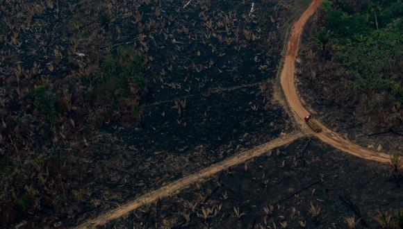 Amazonía brasileña. (Foto: AFP)