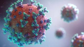 Las infecciones que se están propagando desde la pandemia de COVID-19