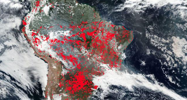 FOTO 7 | Más del 20% destruido por la mano del hombre. (Foto: VIIRS/NASA)