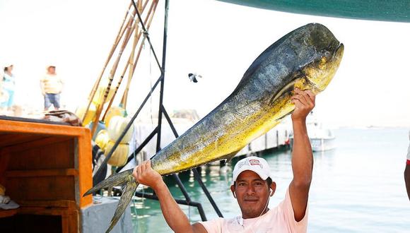 Trece empresas apuntan al mejoramiento pesquero del perico peruano. (Foto: Produce)