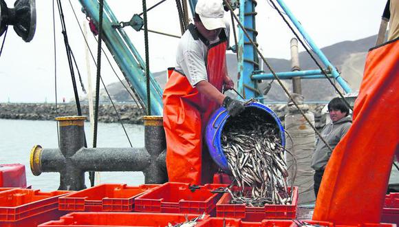 El Niño afectó resultados de empresas pesqueras.