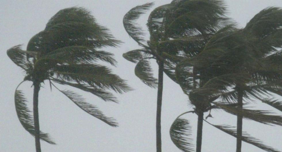 Winds up to 33 gusts will shake Lima, Calao and other areas |  Aika |  Arequipa |  Ankash |  Weather in Lima |  Senamhi |  Meteorology |  Peru
