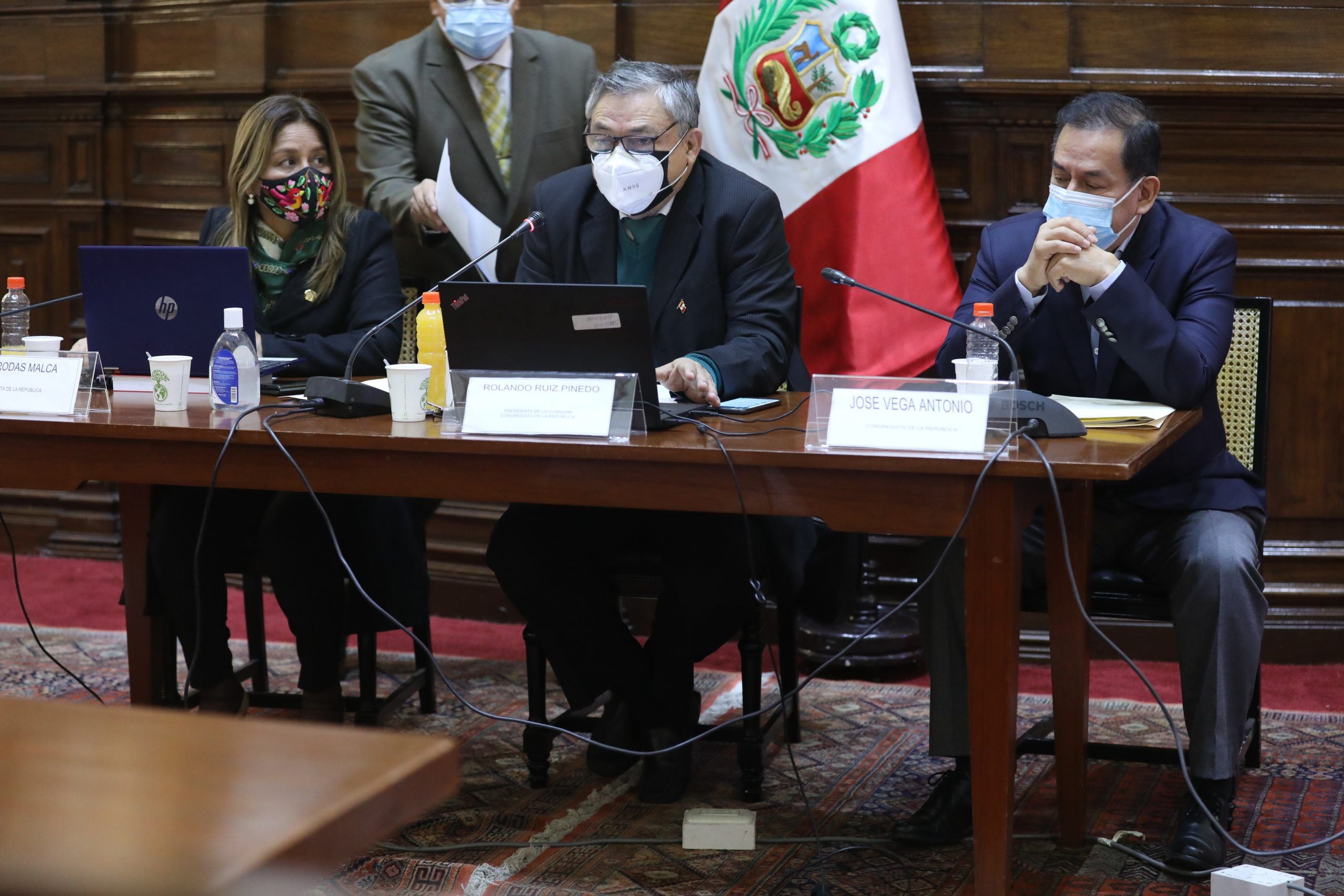 La comisión especial del TC es presidida por Rolando Ruiz (Acción Popular). (Foto: Congreso)
