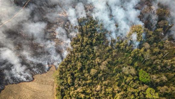 La destrucción se acelera, especialmente desde que el presidente ultraderechista Jair Bolsonaro llegó al poder en el 2019 en Brasil, que alberga el 60% de la Amazonía, con planes de abrir las tierras protegidas al agronegocio y la minería.