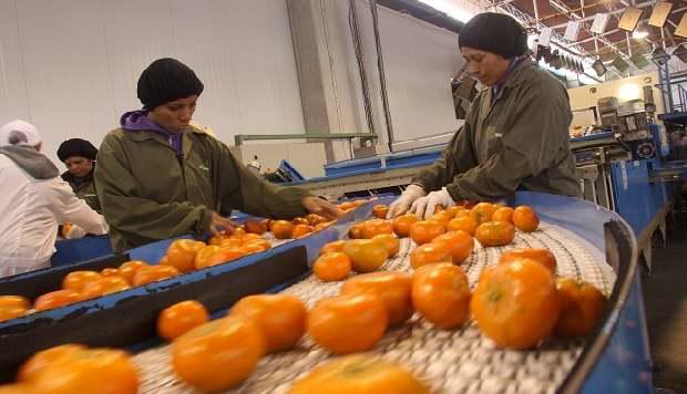 Las mandarinas son el principal cítricos que exporta el Perú. (Foto: difusión)