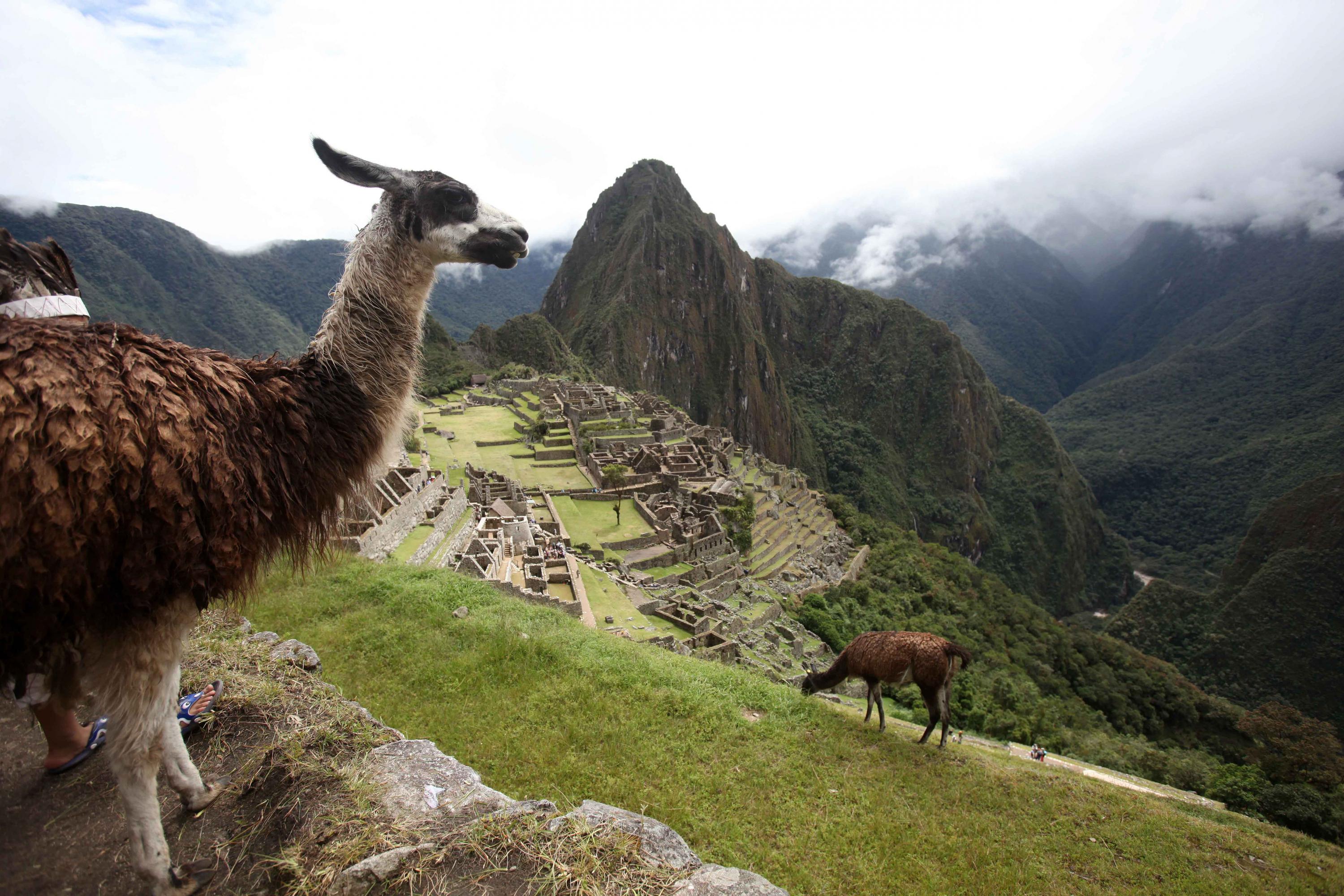Machu Picchu