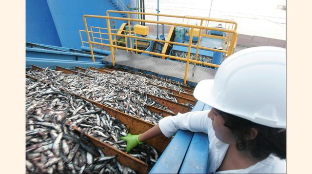 Se estima una menor producción del sector pesca, por el aumento de la temperatura del mar hacia final del año, y del sector de minería metálica por menores leyes. (Foto: USI)