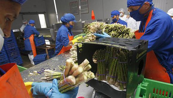 Este año, el empleo generado por la exportación de alimentos sumará 2.2 millones de puestos de trabajo, indicó Adex. (Foto: Difusión)