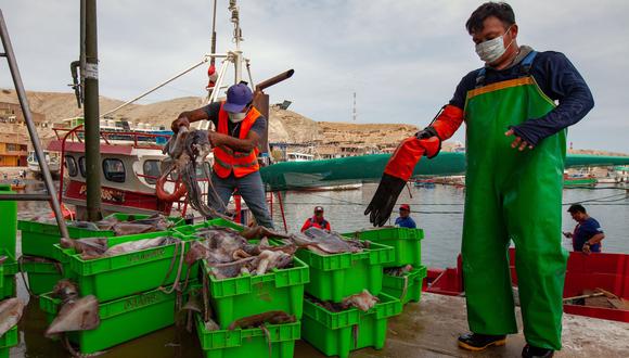 Pedro Silva, representante de la Cooperativa Pesquera “La Tortuga”, manifestó que el gobierno no se encuentra realizando gestión alguna para lograr la formalización de los pescadores artesanales.