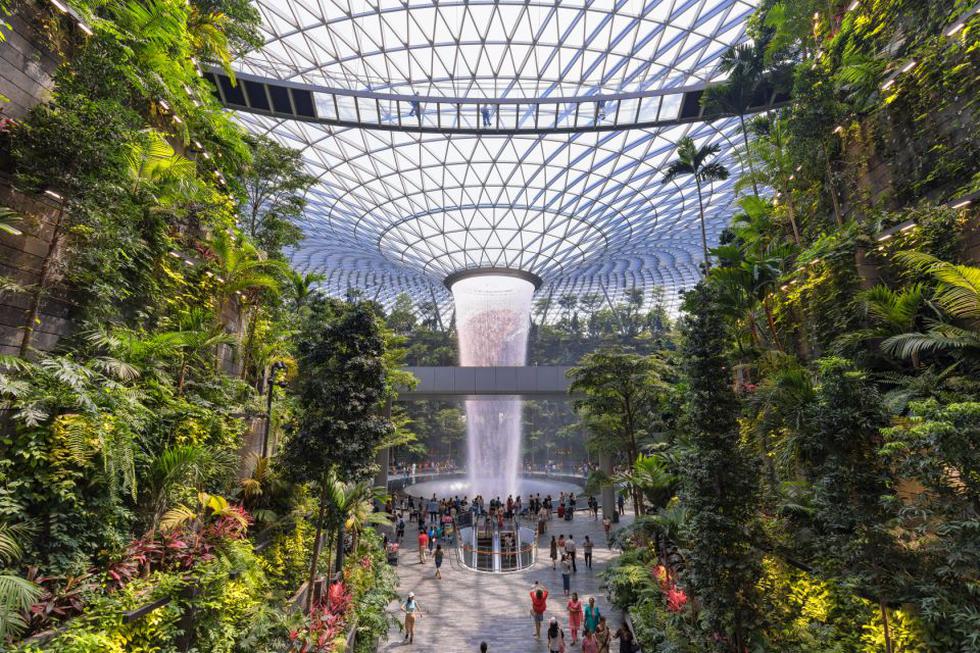 El Aeropuerto Changi de Singapur tiene multitud de servicios y atracciones para los viajeros. Uno de los más fascinantes es un enorme jardína de 460 metros cuadrados que se encuentra en su terminal principal. Cuenta incluso con un laberinto y un observatorio de mariposas. (Foto: Getty Images).