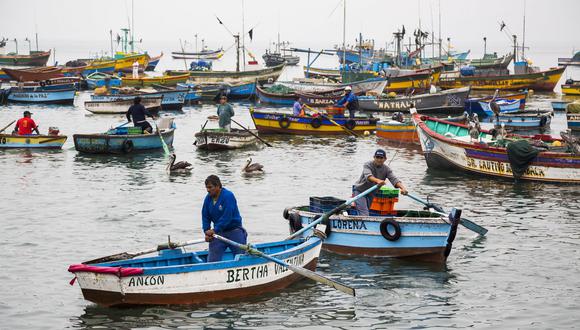 El acuerdo entre Sanipes y DICAPI fortalece la seguridad sanitaria en la industria pesquera y acuícola. Foto: The Nature Conservancy.