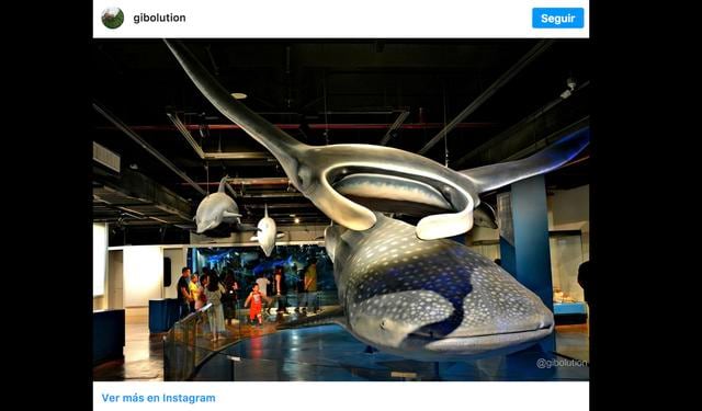 FOTO 7 | 7- Museo Nacional de Historia Natural (Washington). Este museo de la capital de Estados Unidos, visitado por seis millones de personas, muchas de ellas procedentes del extranjero, puede presumir de disponer de 125 millones de especímenes de plantas, rocas, minerales, animales y fósiles. Inaugurado en 1910 y administrado por la Institución Smithsoniana, sus colecciones se dividen en cuatro secciones: historia fósil -con el Tyrannosaurus rex como gran atractivo-; la dedicada a los animales y a los ecosistemas; la centrada en la diversidad humana –incluye momias-, y la de ciencias de la Tierra, en la que pueden contemplarse espectaculares diamantes.