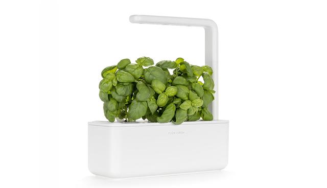 FOTO 10 | Jardinera smart. Para aquellos aficionados a la jardinería a los que a veces se les olvida que las plantas necesitan luz y agua, esta jardinera smart de Click & Go (99,95 euros) se riega sola (aunque seremos nosotros los que tengamos que introducir el agua previamente en el depósito), integra una luz led de bajo consumo y cuenta con una aplicación para monitorizar su estado.