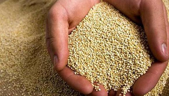 Perú en riesgo de ser desplazado por Bolivia como primer exportador de quinua por denominación de origen.