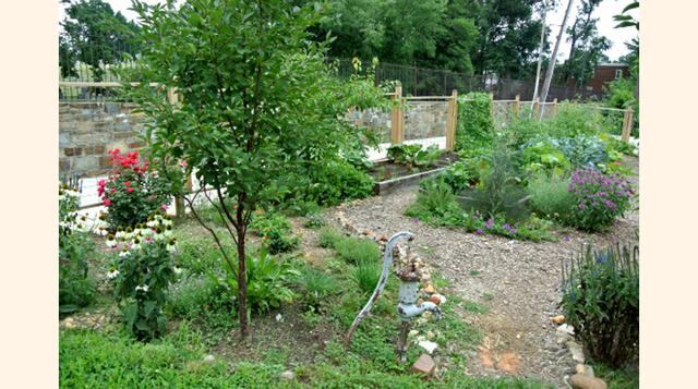 Otros personas buscan un estilo de vida más simple y ecológico, libres del consumismo que caracteriza la vida en los suburbios estadounidenses. (Foto: urbanturf)
