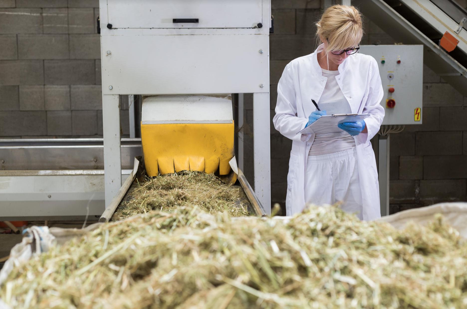 En Italia ya se puede encontrar pasta, galletas, dulces u otros productos con derivados del cannabis.