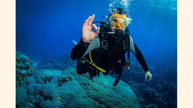 FOTO 16 | Aparato de buceo, la idea inicial de Da Vinci era utilizalo para ataques sorpresa bajo el agua. Era un sistema de buceo con dos tubos hechos de piel animal en los que baja el aire y sube a través de una bomba manual.