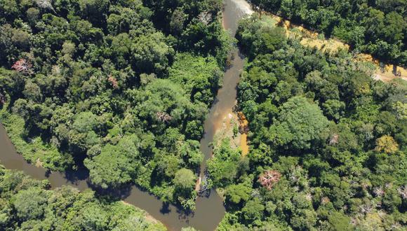 Los presidentes Pedro Castillo e Iván Duque coincidieron en la importancia de priorizar la protección de la Amazonía. (Foto: Therany-Gonzales-ACEER)