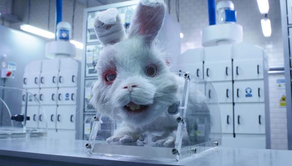Este año se publicó el cortometraje “Salven a Ralph”, el cual cuenta la vida a un conejo que trabaja en un laboratorio como ‘conejo de prueba’ al que someten con diferentes productos químicos hasta encontrar cosméticos que no dañen a los humanos. (Foto: Redes Sociales).