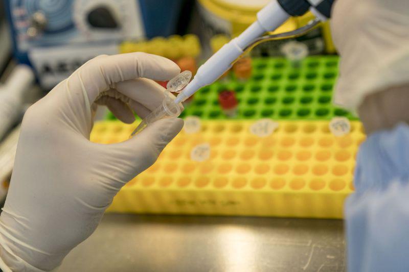 Las enfermedades duales del paciente, el VIH y el cáncer, dieron una oportunidad a los investigadores del Centro de Investigación de Células Madre de la Universidad de Pekín.