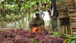 Exportaciones agrarias ascendieron a US$4,390 millones en el 2012