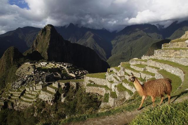 Machu Picchu, Perú: El exceso de visitantes y la presencia de numerosos operadores turísticos informales provocaron daños en el famoso Camino del Inca. A esto, se le suma la acumulación de basura y el surgimiento de múltiples sitios de acampada. Para esto, y con el fin de minimizar los daños, el gobierno peruano limitó el número de personas que pueden hacer el Camino del Inca por temporada. (Foto: Reuters)