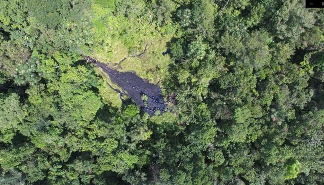 Las autoridades realizaron la toma de muestras y registro de la escena en fotografías y video. (Foto: Ministerio Público)