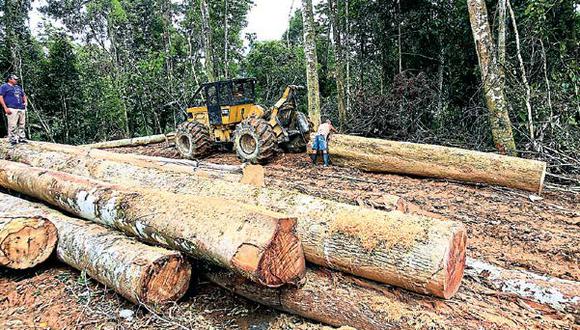 20 de octubre del 2017. Hace 5 años. EE.UU.: Perú aún tiene desafíos para combatir tala ilegal.