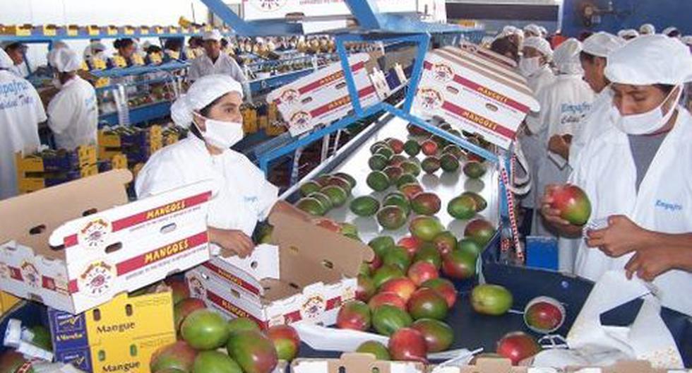Agroexportadores Peruanos Fortelecerán Su Presencia En Once Mercados Durante El 2014 Economia 2204