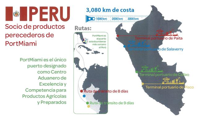 FOTO 3 | “El producto que más se mueve del Perú es la uva, en términos de volumen, además de la palta. Los berries el año pasado representaron el 22% del mercado estadounidense, este año se proyecta un 45%. La oferta del producto peruano crece y nosotros 