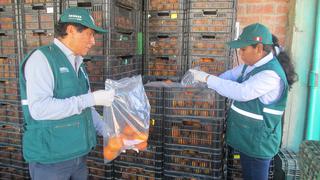 Contraloría detecta que Senasa dejó ingresar 170,000 TN de alimentos sin certificación