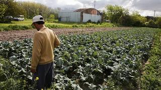 Plataforma agrícola en línea Orbia planea expansión latinoamericana tras acuerdo con Bunge en Brasil