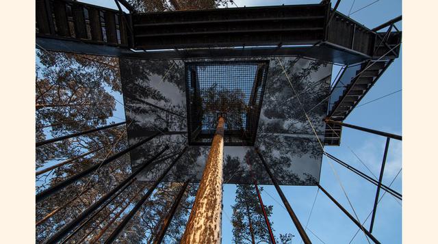 La base de la nueva casa en los árboles mide 8 por 12 metros y muestra una gran imagen con copas de árboles alzándose al cielo. Así la casa se mimetiza con el bosque circundante.
