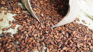 Líder mundial del cacao, Barry Callebaut, elige a un nuevo director general