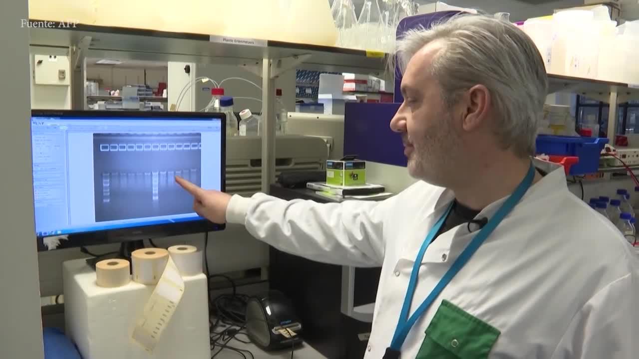 Coronavirus. (Foto: Difusión)