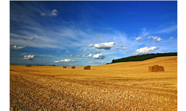 FOTO 8 | FreeImages. Uno de los directorios más exhaustivos de imágenes de código abierto, FreeImages es mi recurso básico cuando estoy trabajando en nuevos proyectos web. Mientras que la mayoría de los sitios de foto comunes se centran en un tema específ