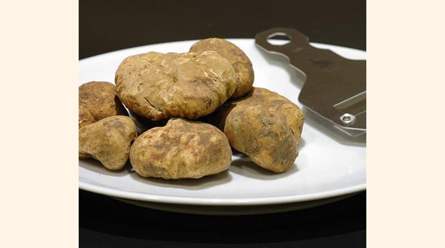 Trufa Blanca (US$ 3,190 el kilo). Es un pequeño hongo  que crece bajo tierra y cuyo cultivo y extracción son realmente complicados, de ahí que sea tan apreciado. Las mejores trufas pertenecen a las tierras de Alba, en la región italiana de Piamonte.