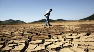 Sequía amenaza posibilidad de gran cosecha de azúcar en Brasil