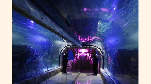 Acuario Inbursa cuenta con 48 salas de exhibición y cinco gigantes peceras distribuidas en cuatro niveles subterráneos. (Foto: Reuters)